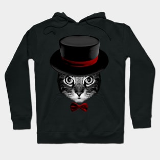 illusionist Cat V2 Hoodie